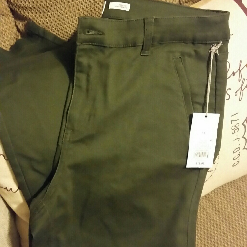 Ladies pants